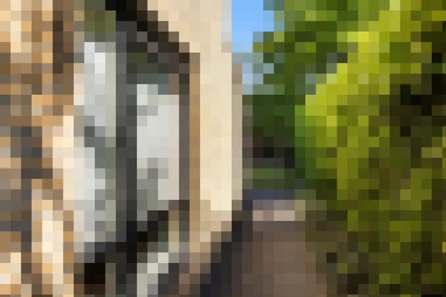 Goudvisstraat 6 Hengelo thumbnail 32