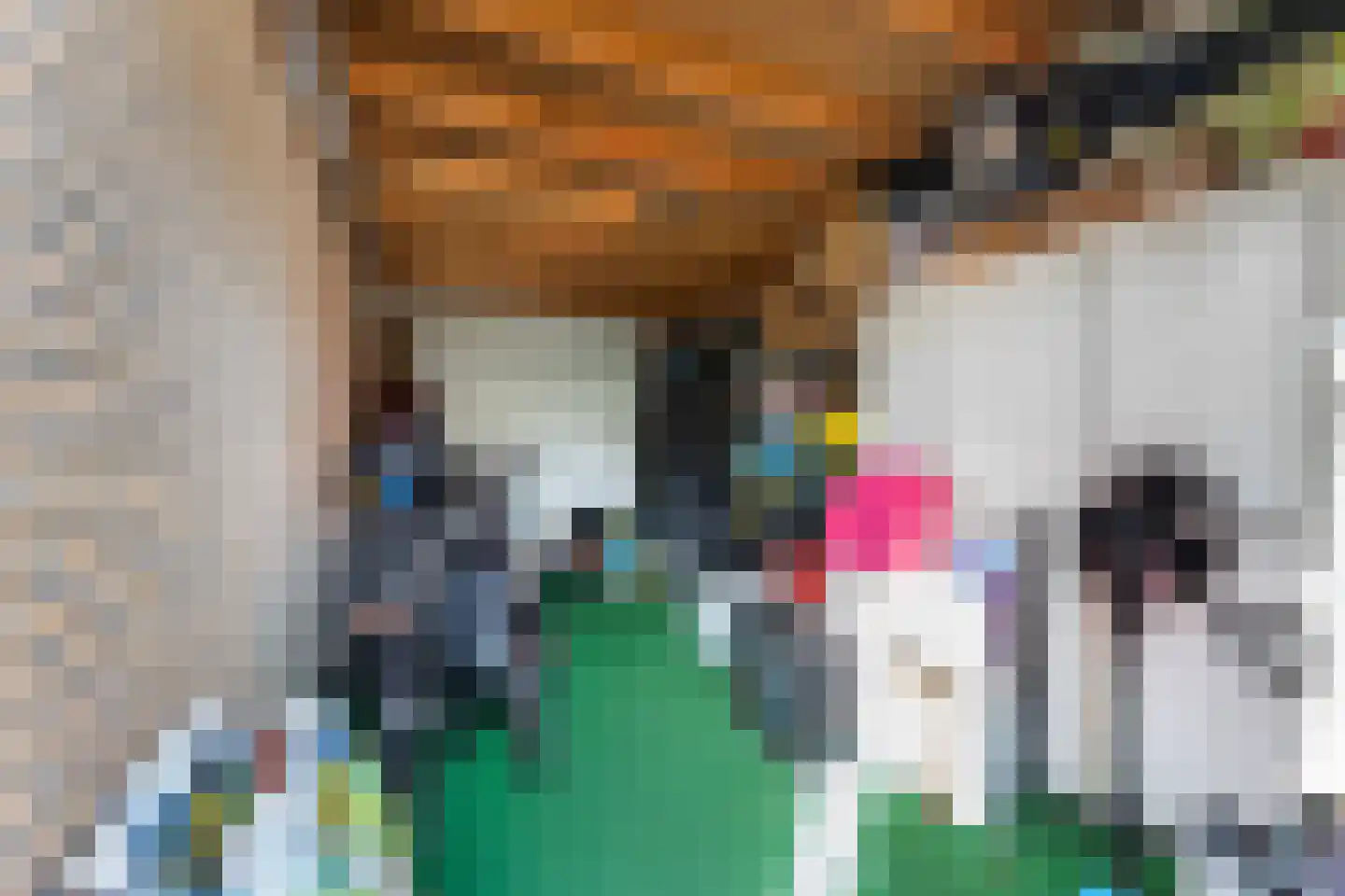 Goudvisstraat 6 Hengelo thumbnail 36
