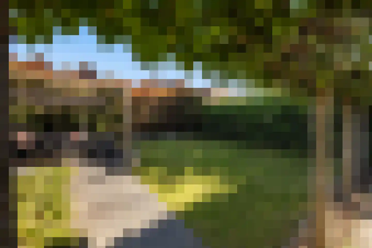 Goudvisstraat 6 Hengelo thumbnail 38