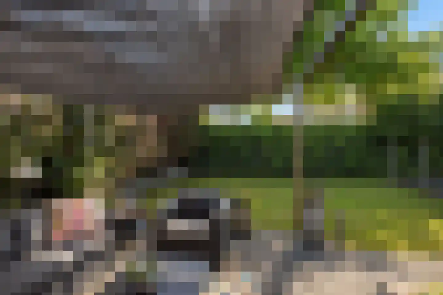 Goudvisstraat 6 Hengelo thumbnail 39