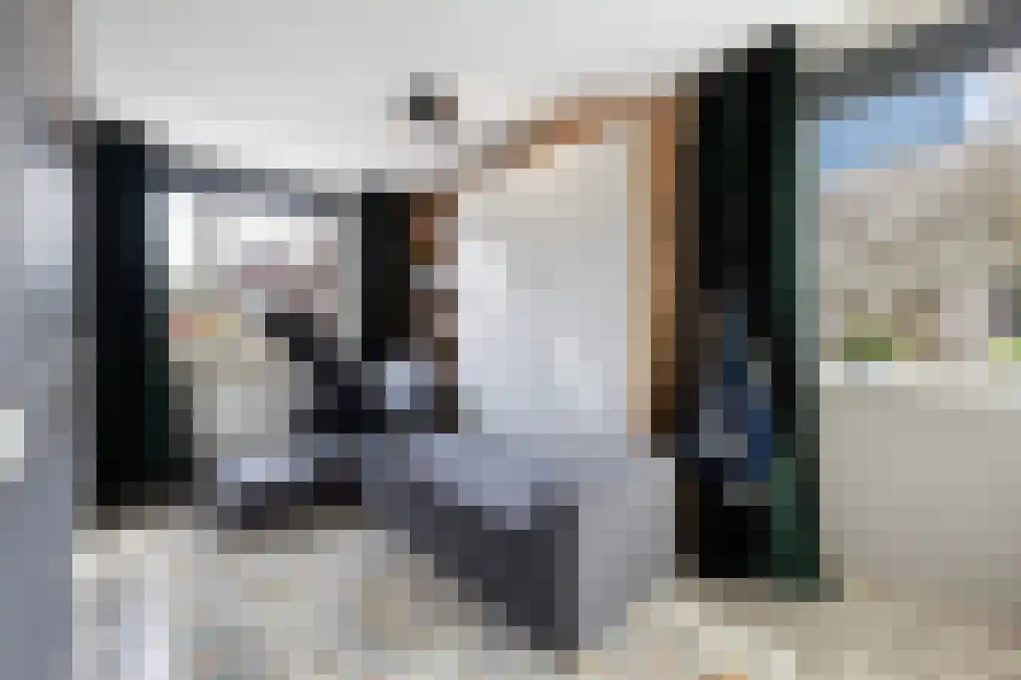 Goudvisstraat 6 Hengelo thumbnail 43