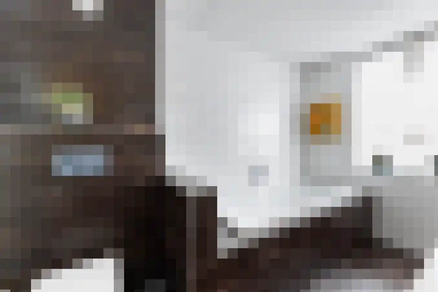 Goudvisstraat 6 Hengelo thumbnail 46