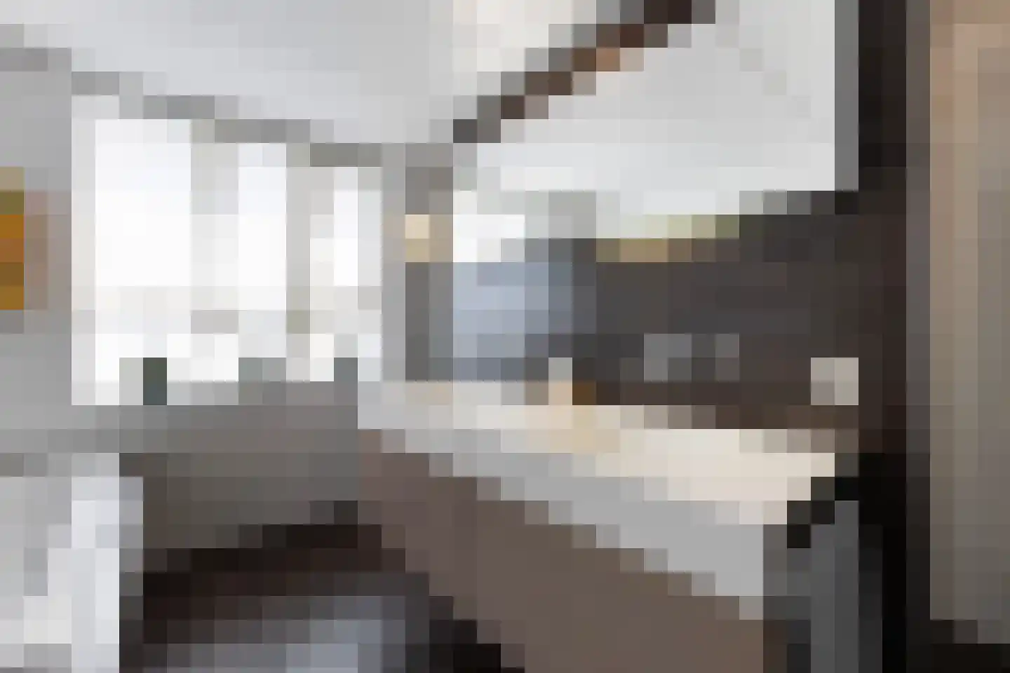 Goudvisstraat 6 Hengelo thumbnail 48