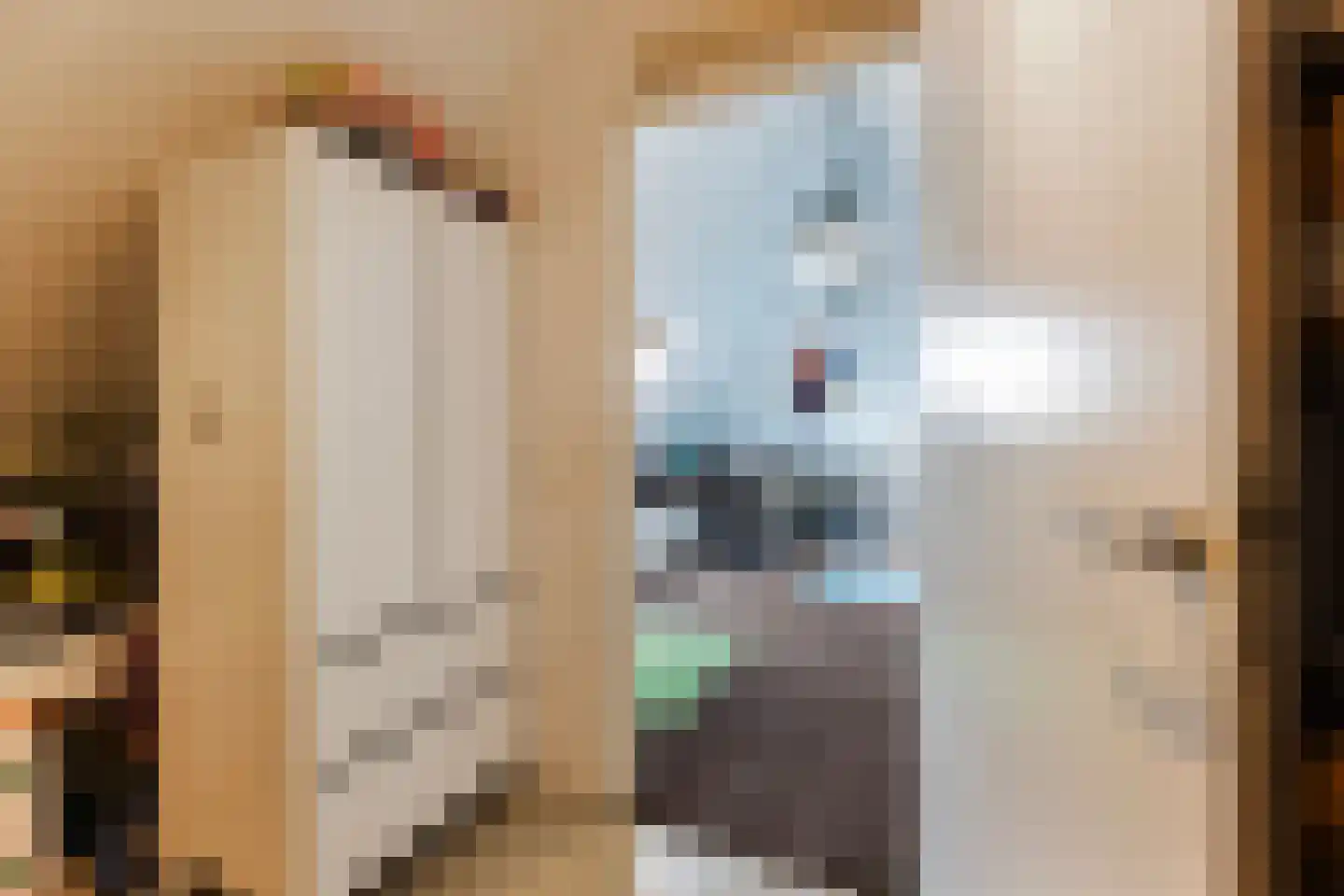 Goudvisstraat 6 Hengelo thumbnail 51