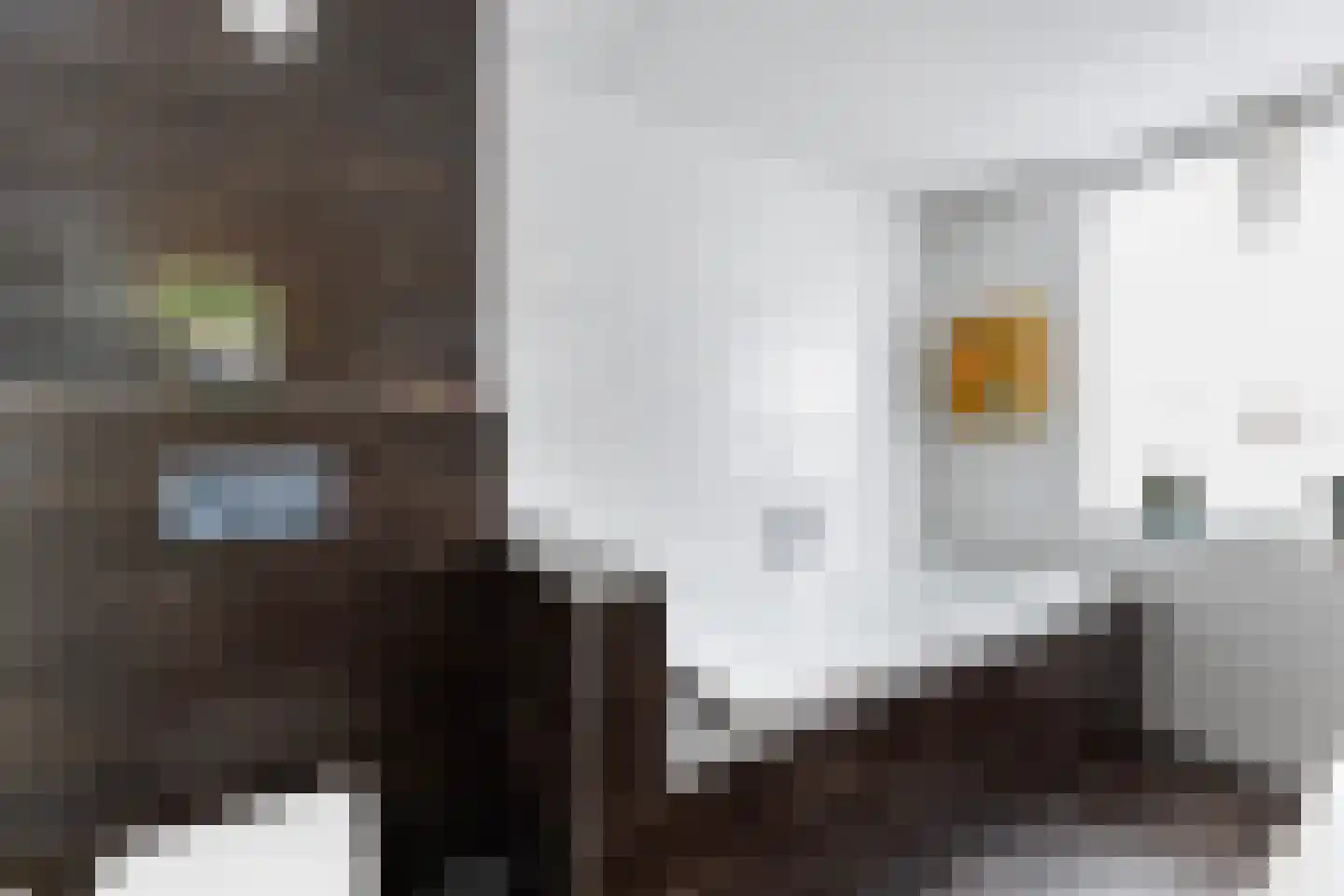 Goudvisstraat 6 Hengelo thumbnail 54