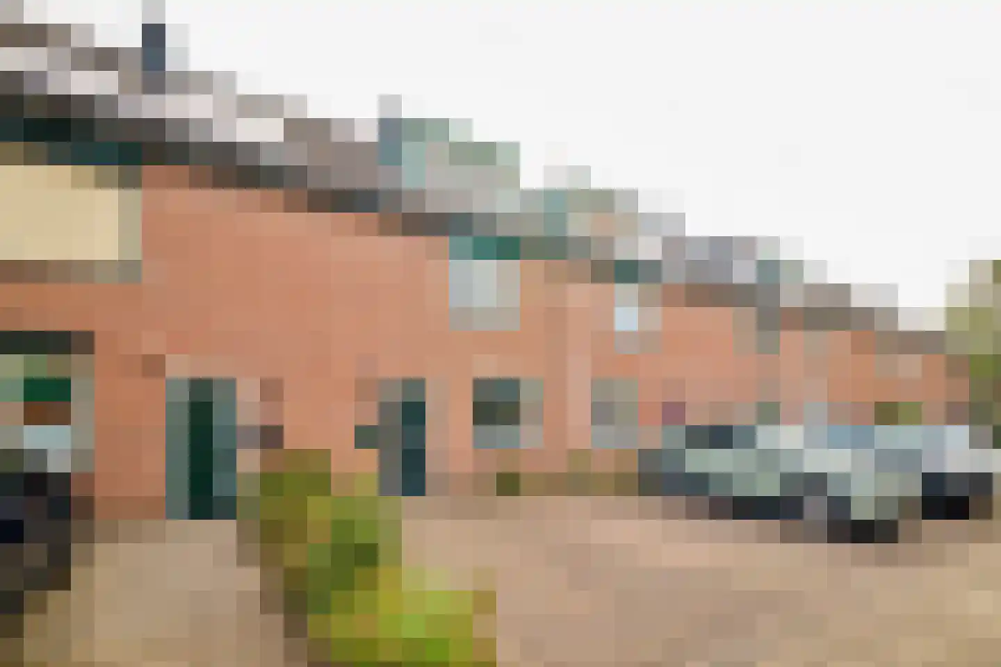 Goudwesp 5 in Soest