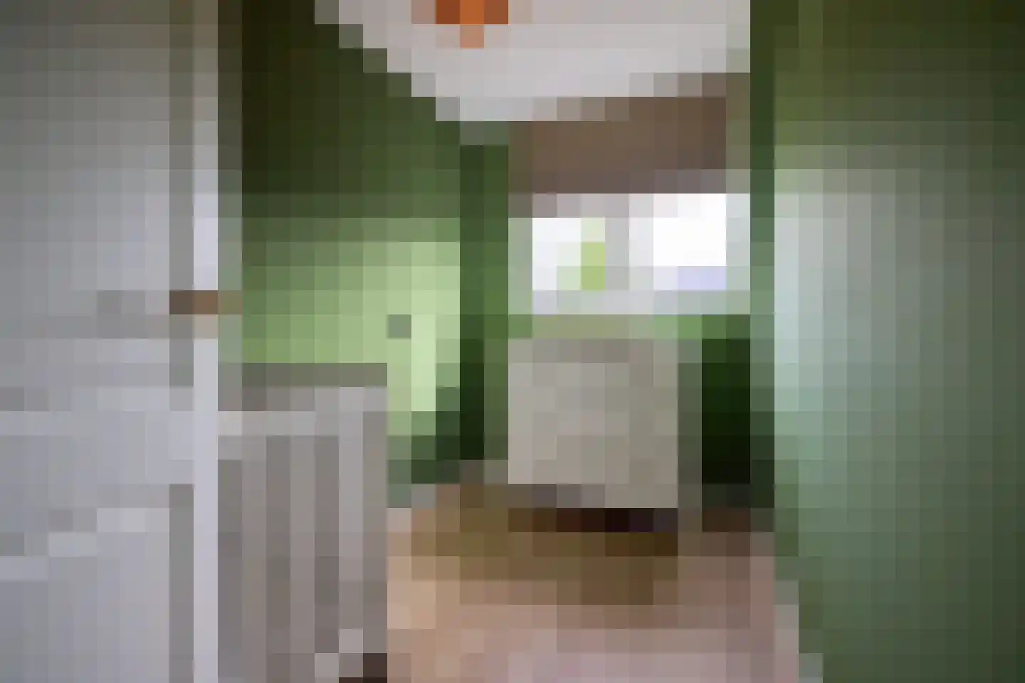 Goudwesp 5 Soest thumbnail 22