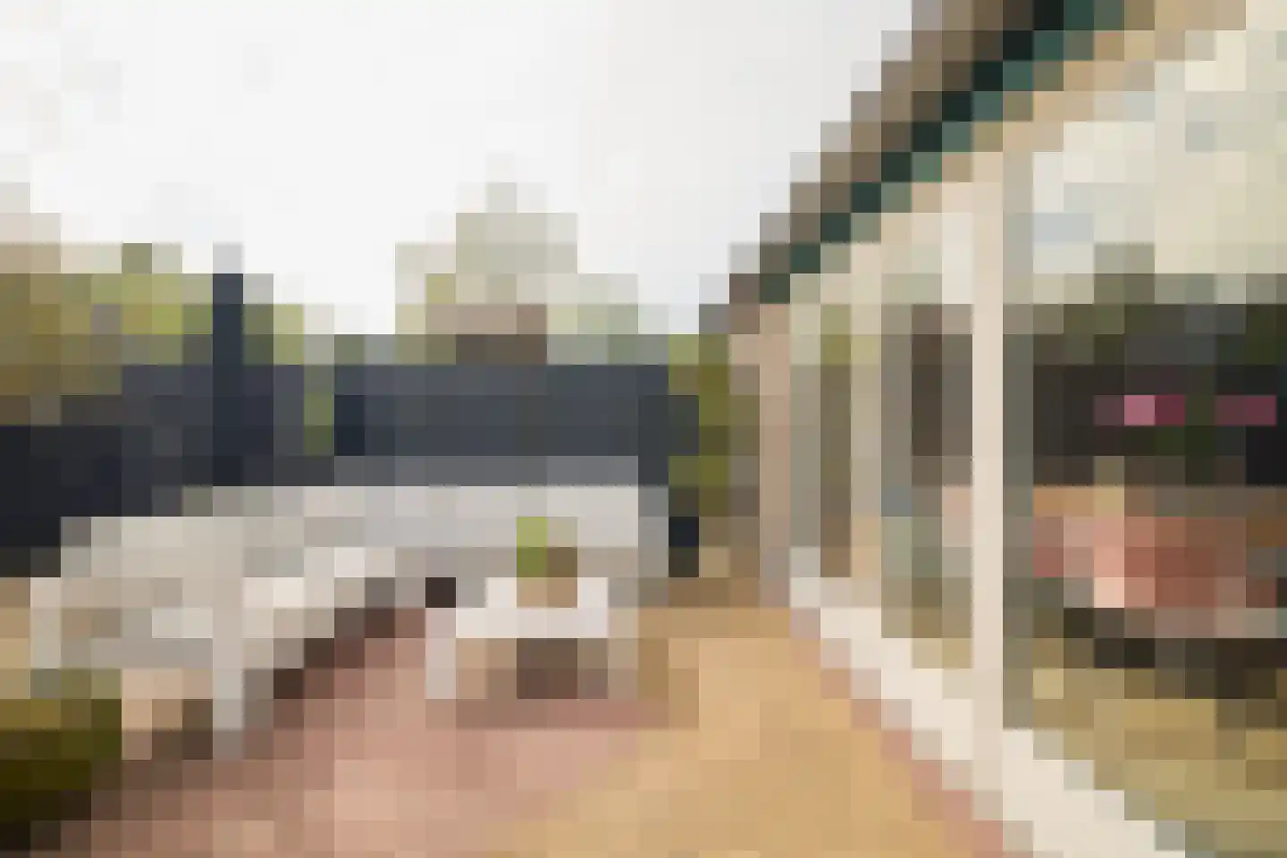 Goudwesp 5 Soest thumbnail 34