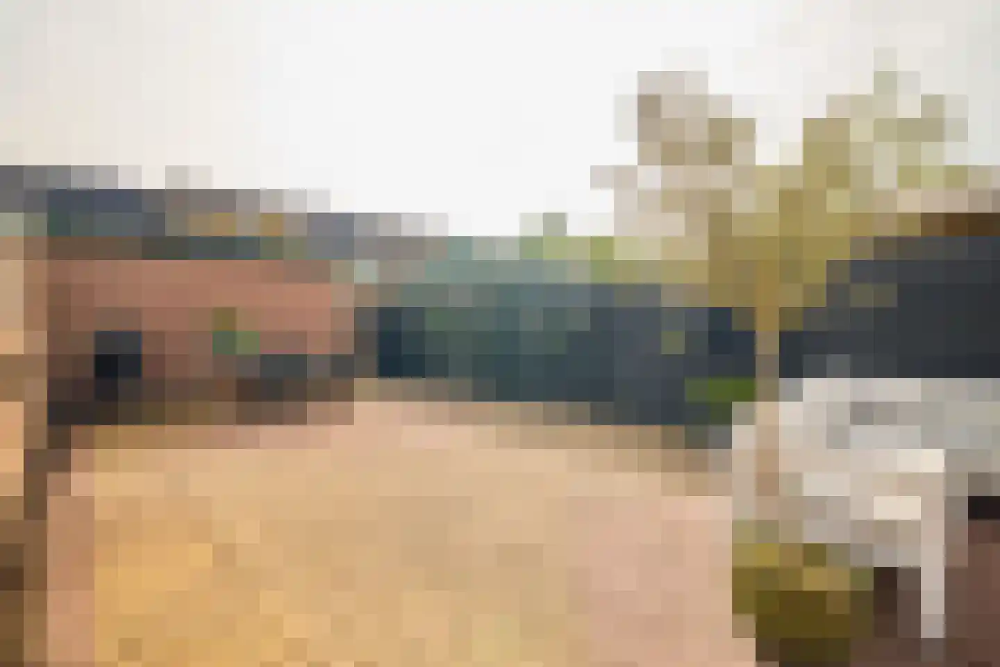 Goudwesp 5 Soest thumbnail 35