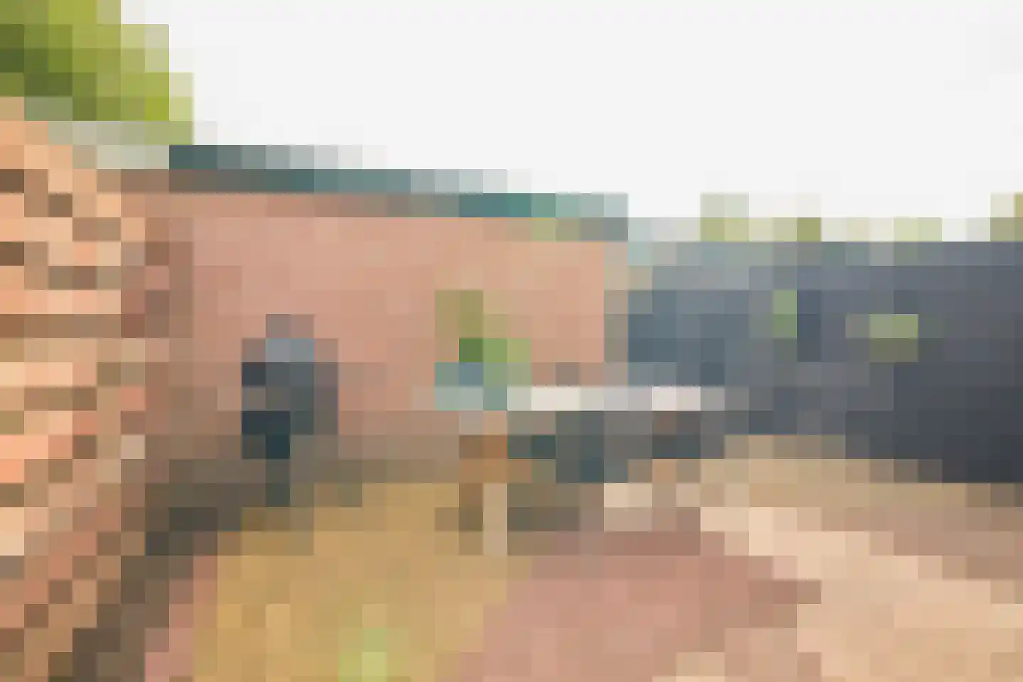 Goudwesp 5 Soest thumbnail 36