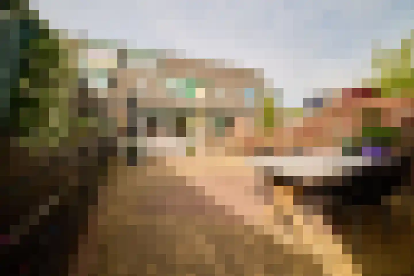 Goudwesp 5 Soest thumbnail 37