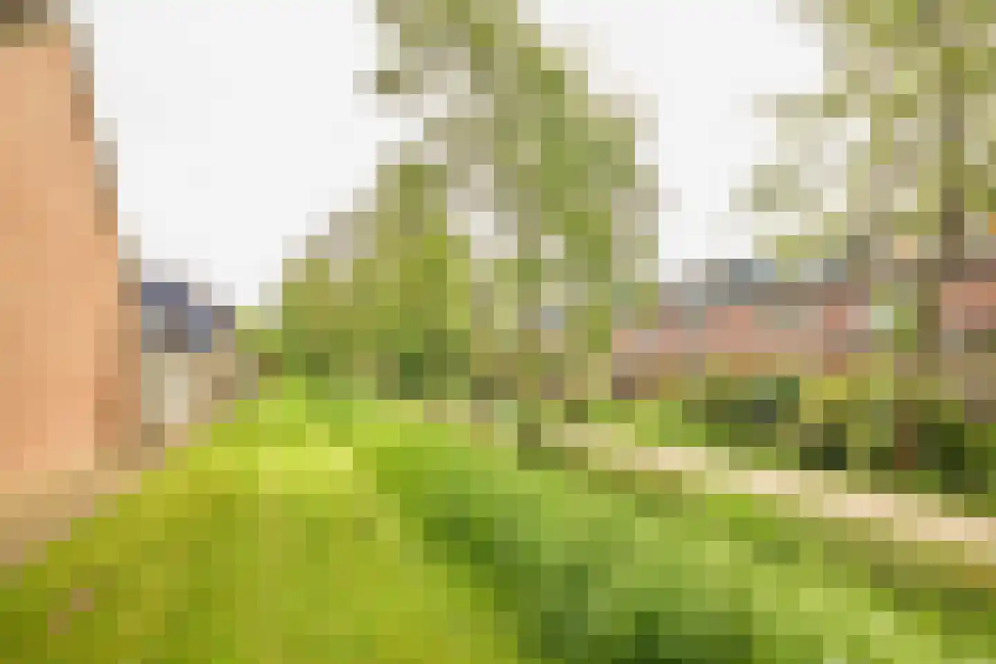 Goudwesp 5 Soest thumbnail 44