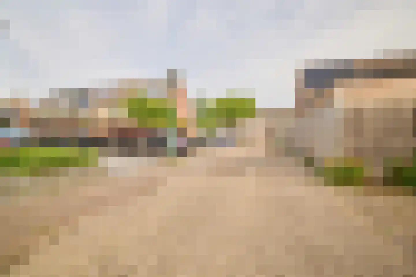 Goudwesp 5 Soest thumbnail 45