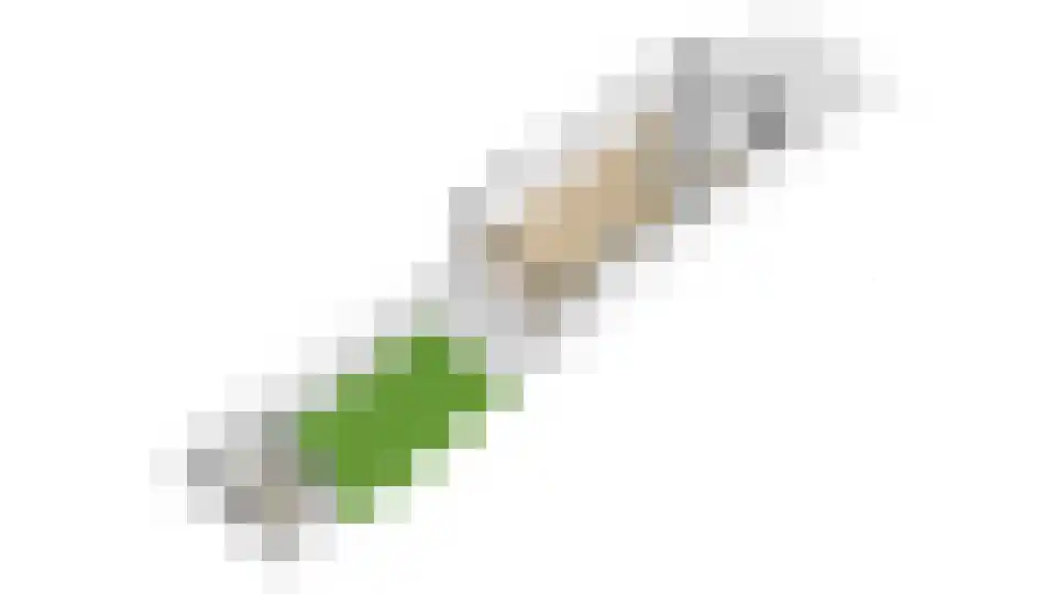 Goudwesp 5 Soest thumbnail 53