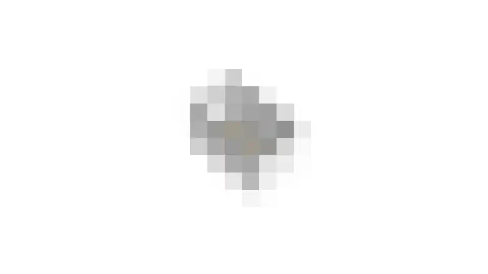 Goudwesp 5 Soest thumbnail 55
