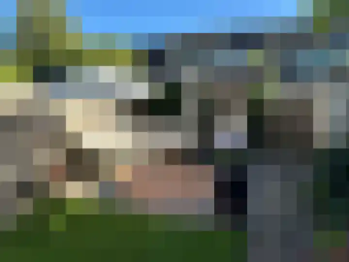 Goudwesp 9 Soest thumbnail 23