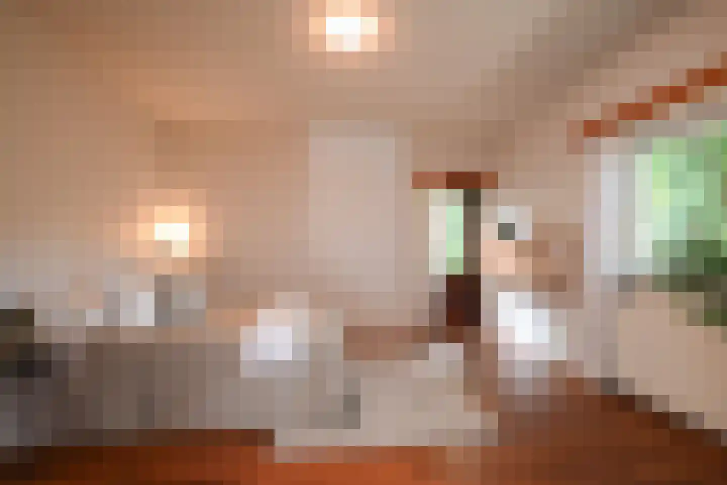 Goudwespmeent 15 Hilversum thumbnail 10