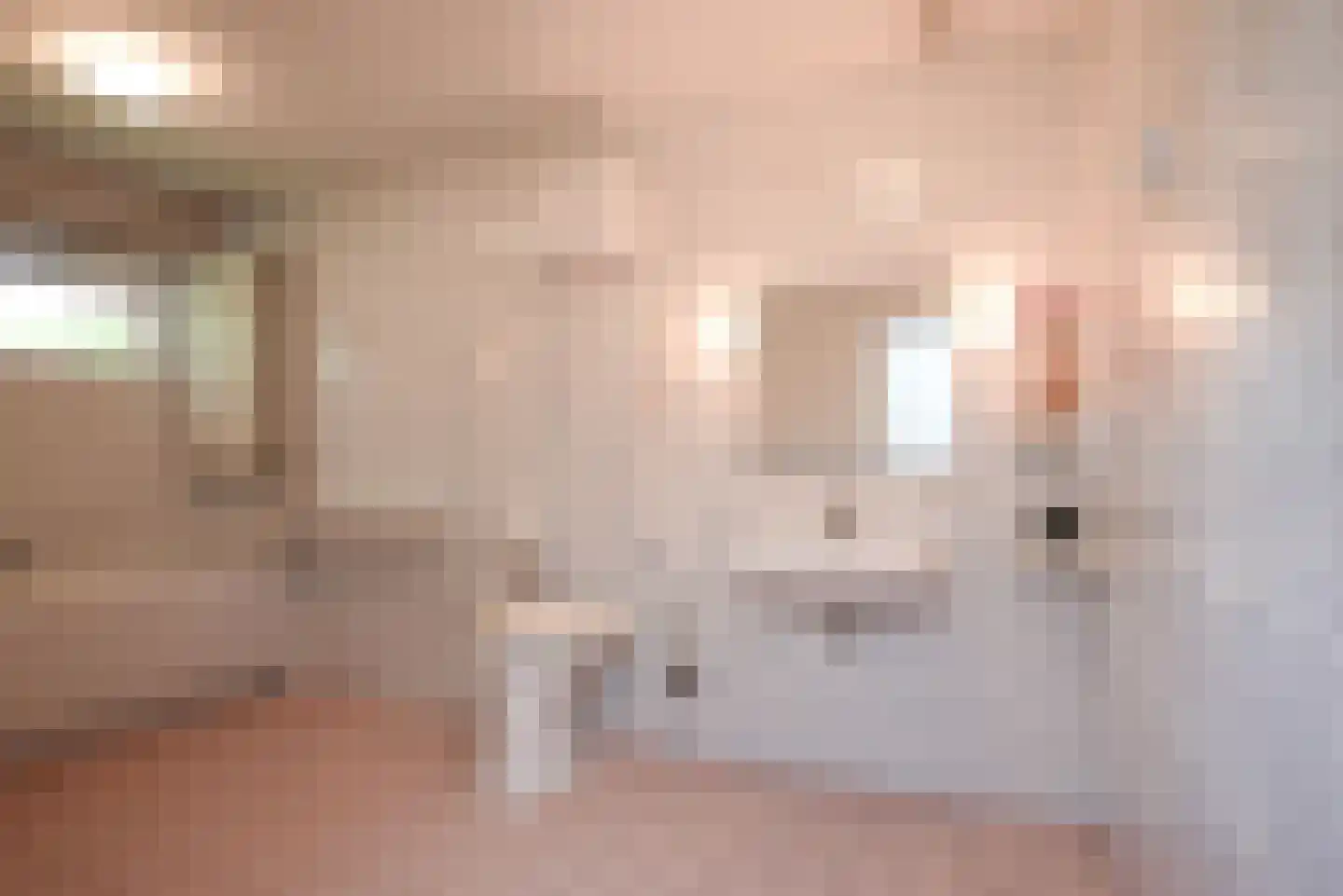 Goudwespmeent 15 Hilversum thumbnail 12