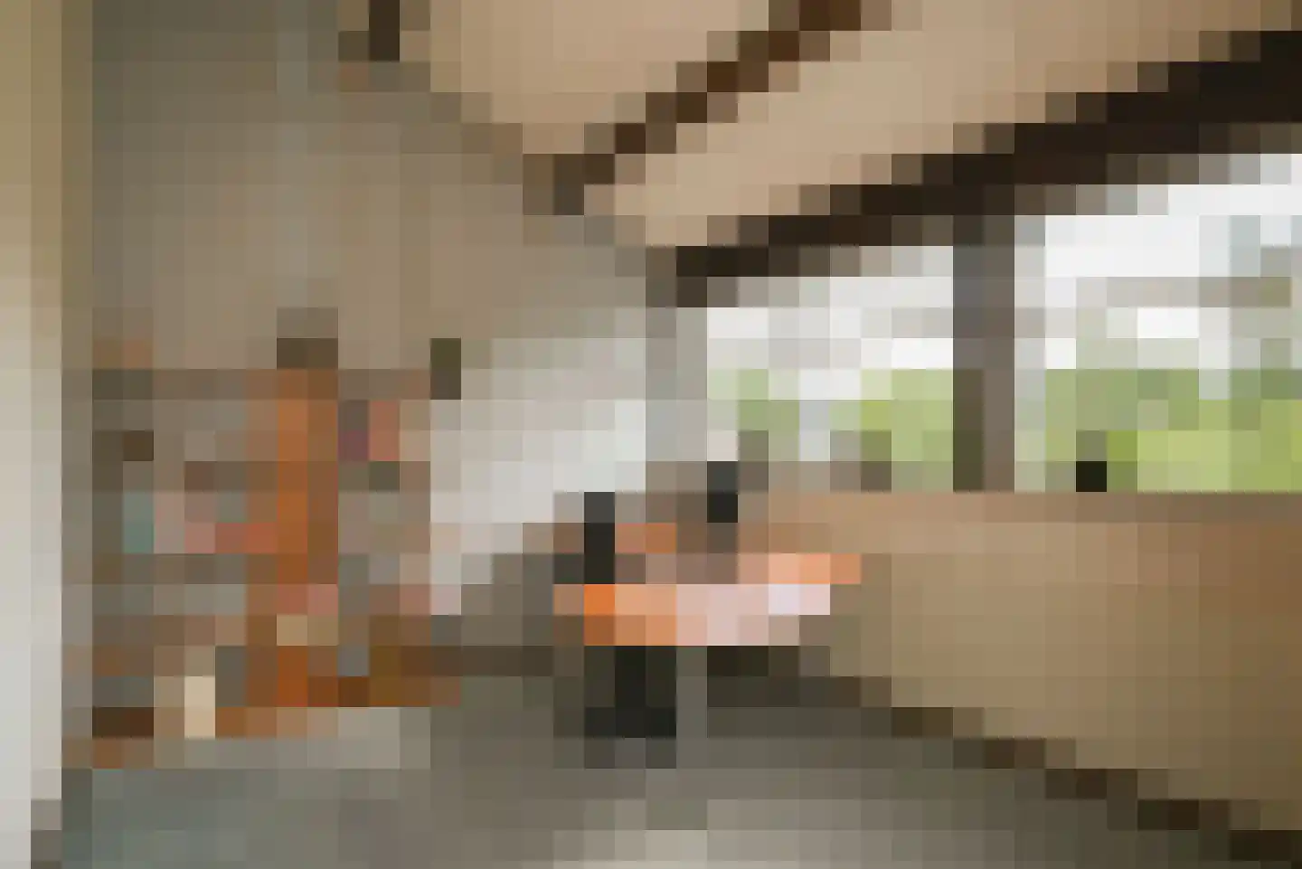 Goudwespmeent 15 Hilversum thumbnail 18