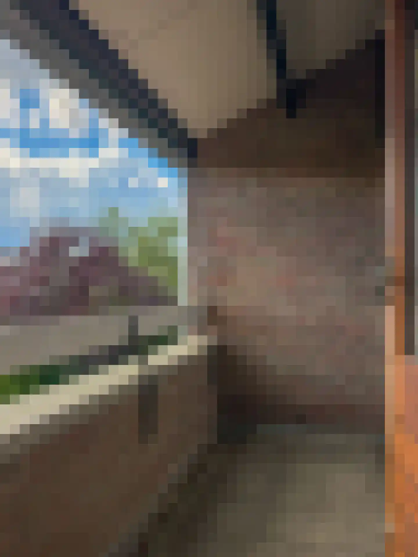 Goudwespmeent 15 Hilversum thumbnail 21