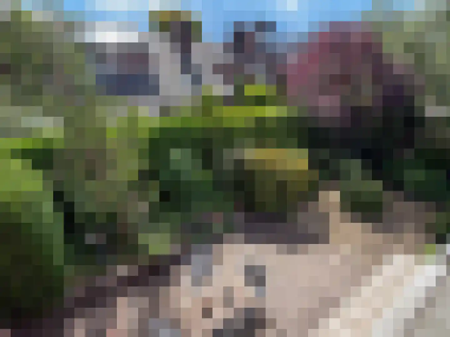 Goudwespmeent 15 Hilversum thumbnail 22