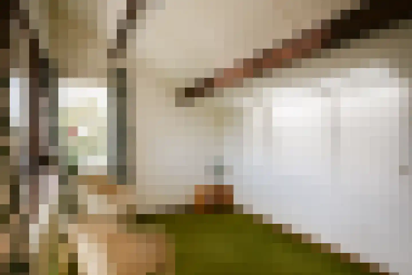 Goudwespmeent 15 Hilversum thumbnail 23