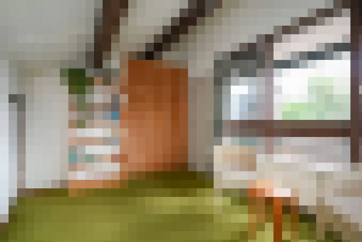 Goudwespmeent 15 Hilversum thumbnail 24