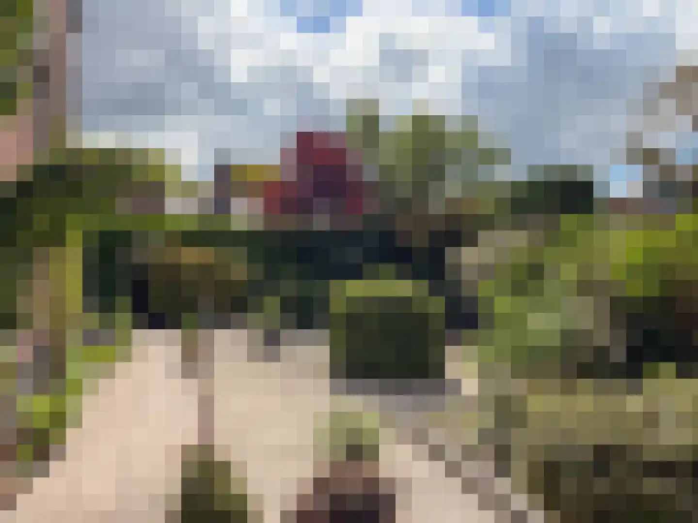 Goudwespmeent 15 Hilversum thumbnail 27
