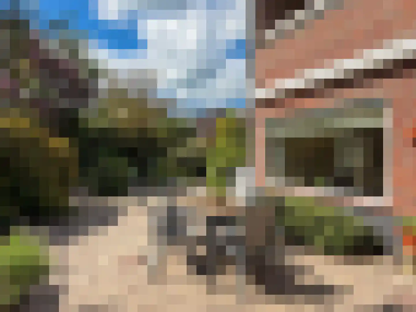 Goudwespmeent 15 Hilversum thumbnail 28