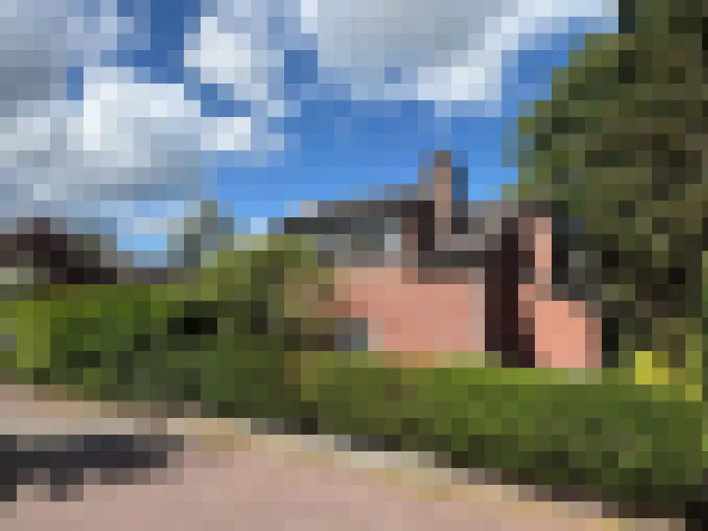 Goudwespmeent 15 Hilversum thumbnail 30