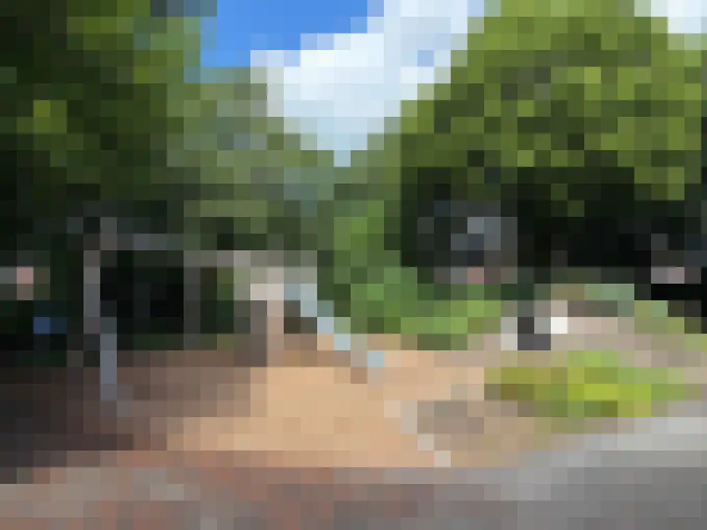 Goudwespmeent 15 Hilversum thumbnail 31