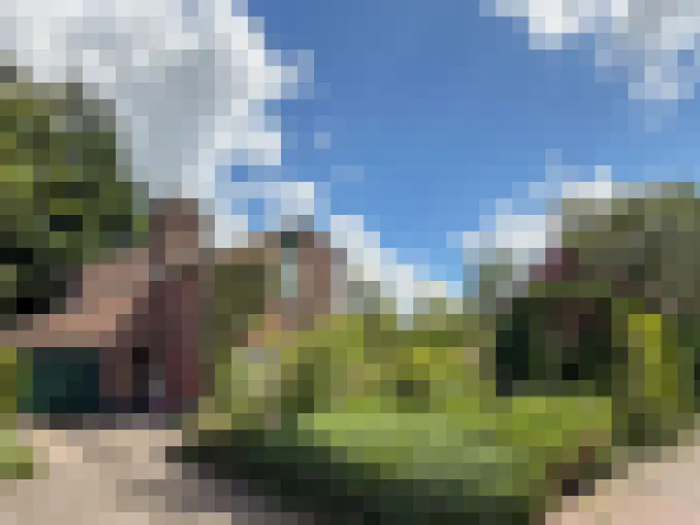 Goudwespmeent 15 Hilversum thumbnail 32