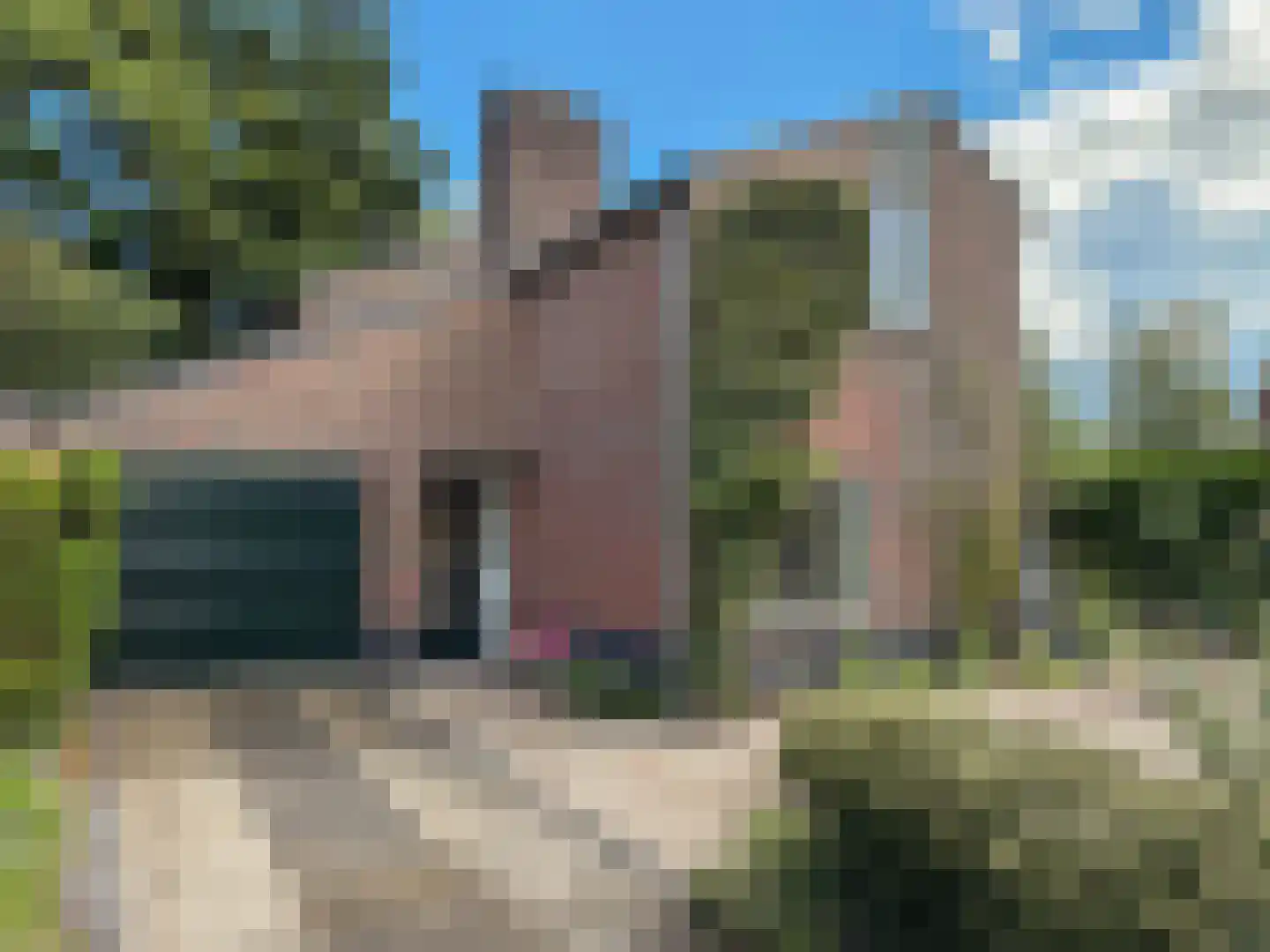 Goudwespmeent 15 Hilversum thumbnail 33