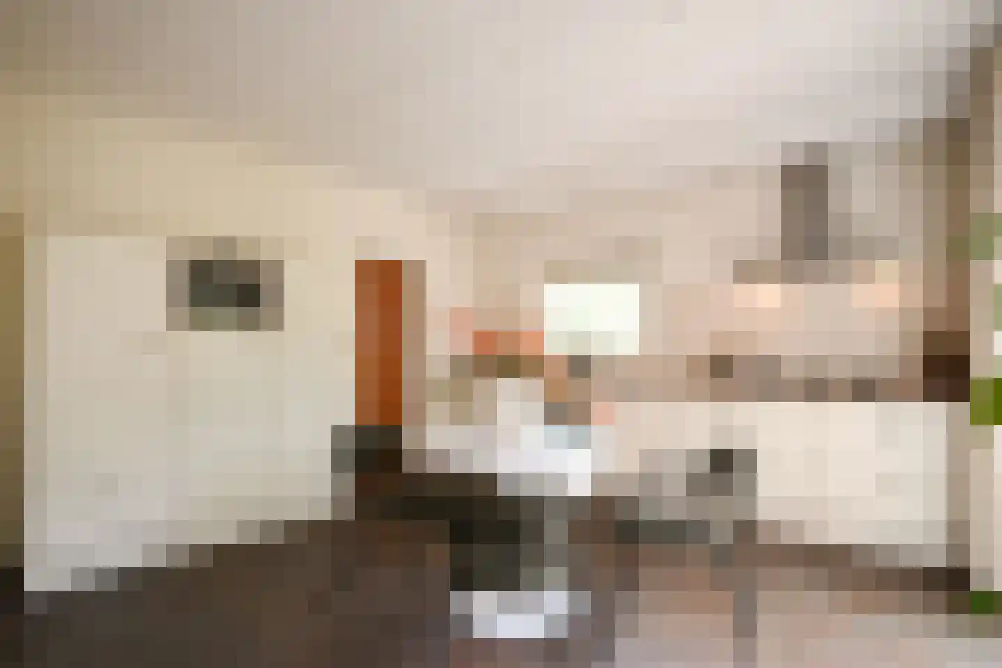 Goudwespmeent 15 Hilversum thumbnail 6