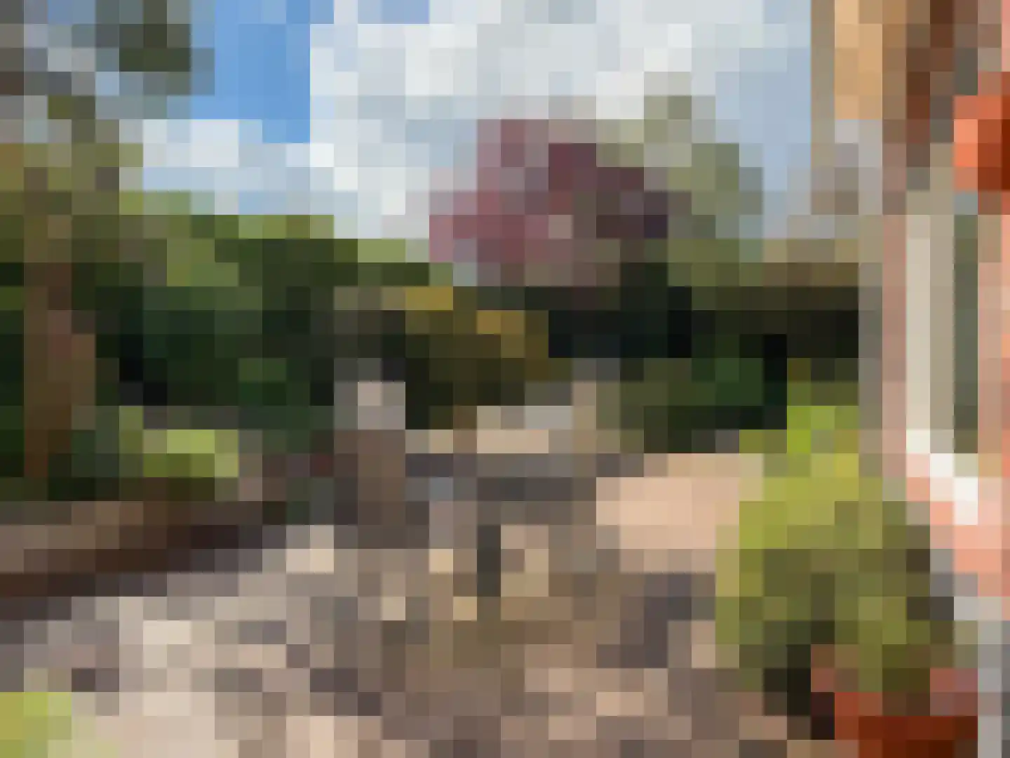 Goudwespmeent 15 Hilversum thumbnail 9