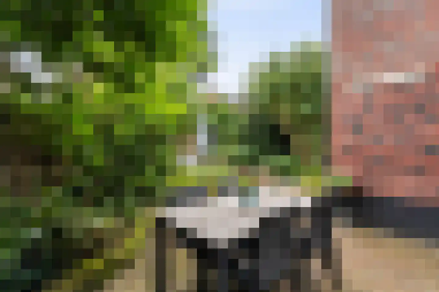 Goudwespmeent 55 Hilversum thumbnail 22