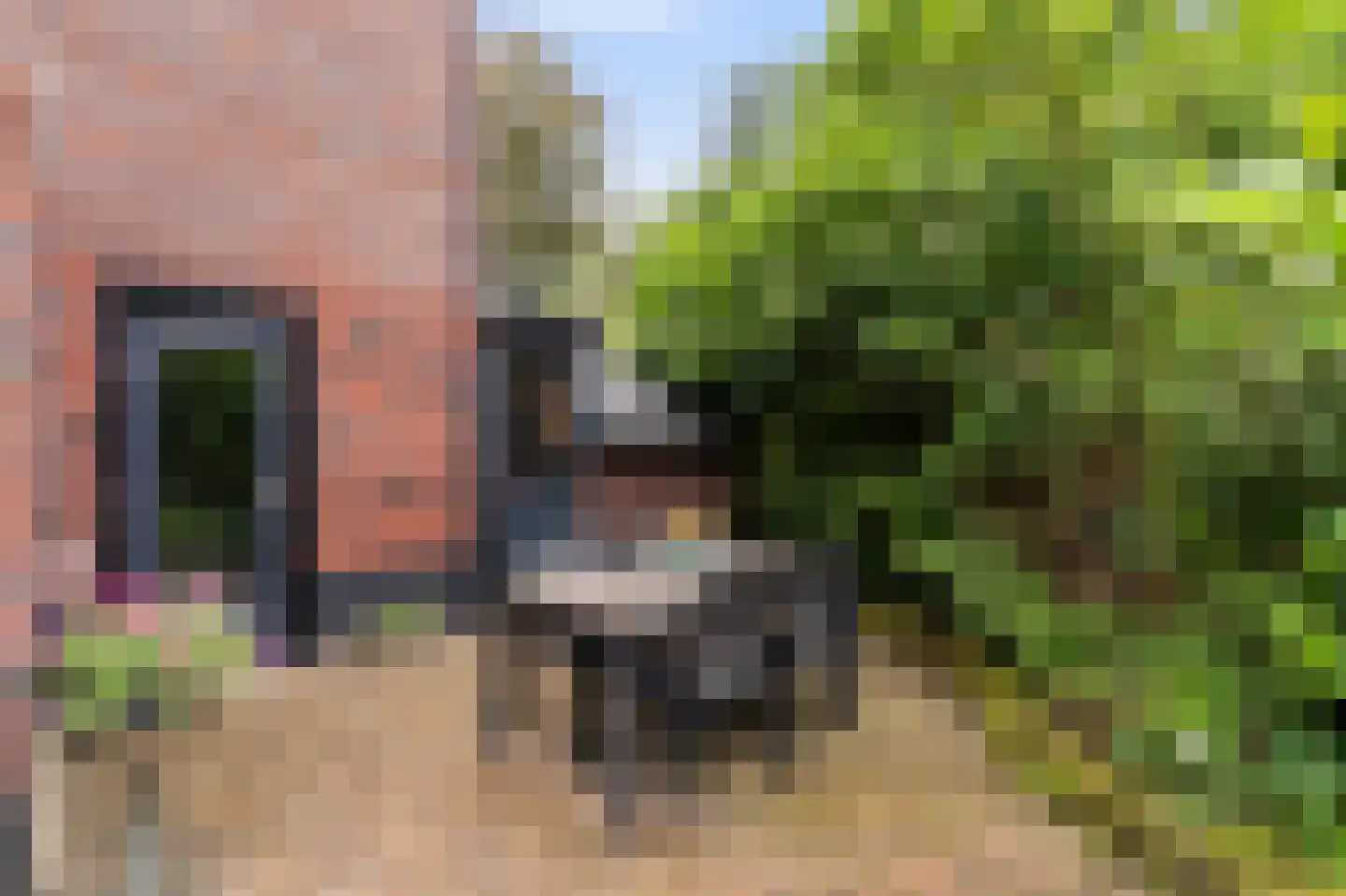 Goudwespmeent 55 Hilversum thumbnail 25