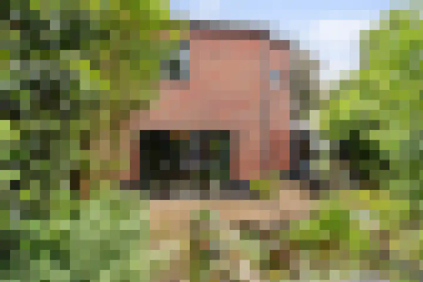 Goudwespmeent 55 Hilversum thumbnail 26