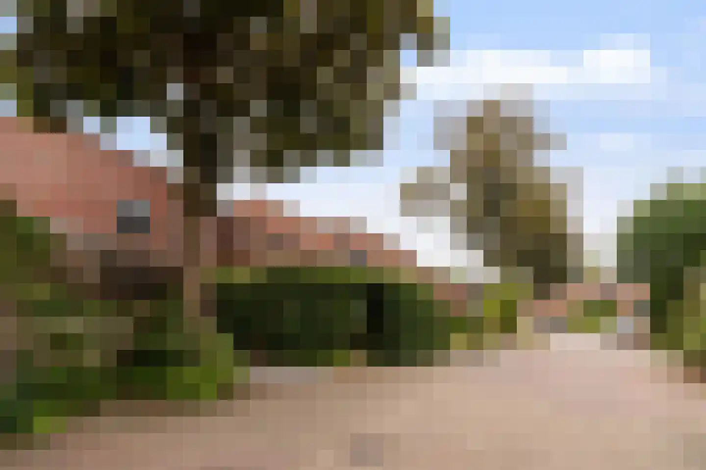 Goudwespmeent 55 Hilversum thumbnail 27