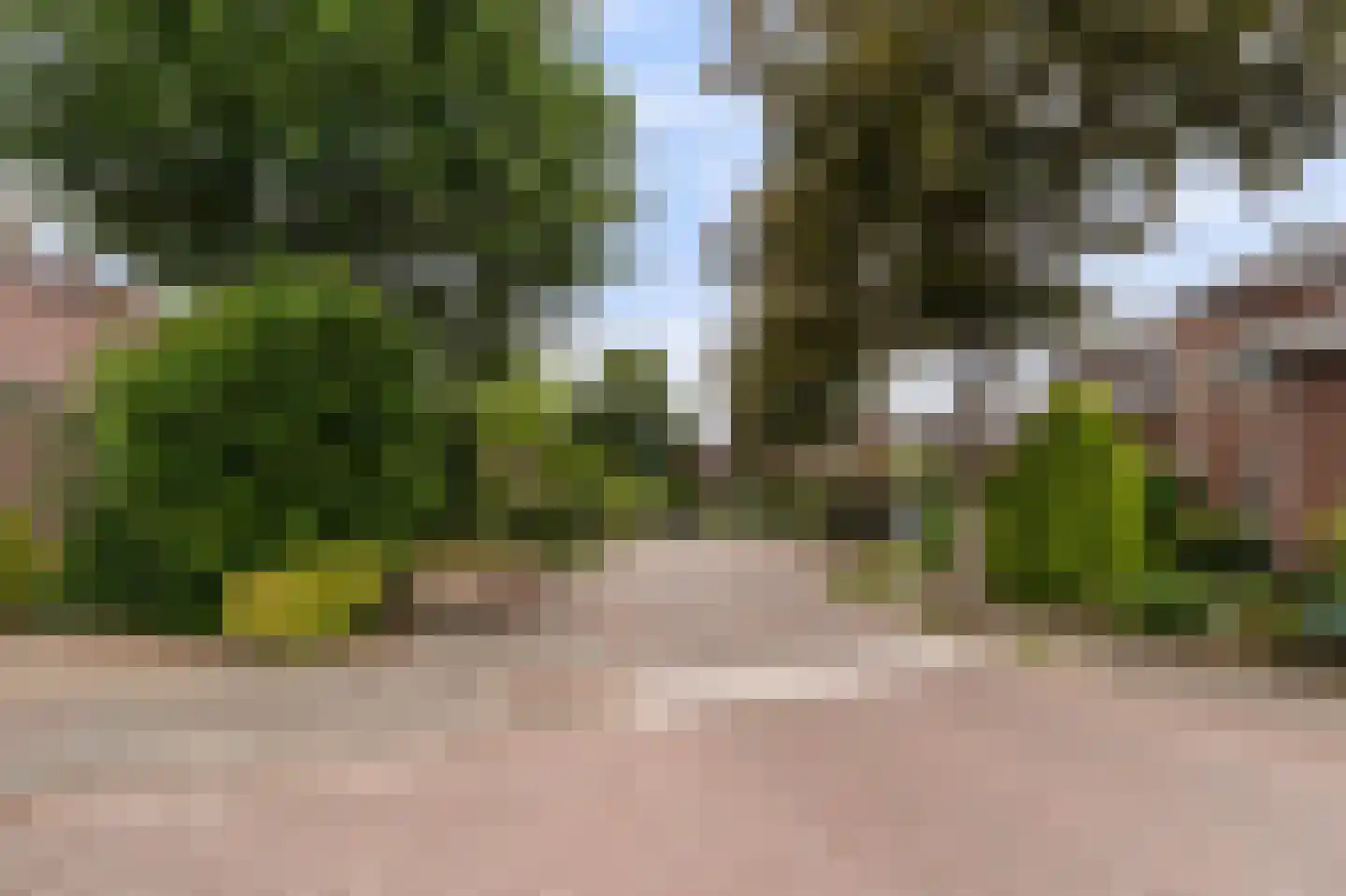 Goudwespmeent 55 Hilversum thumbnail 28