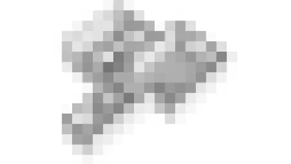 Goudwespmeent 55 Hilversum thumbnail 31