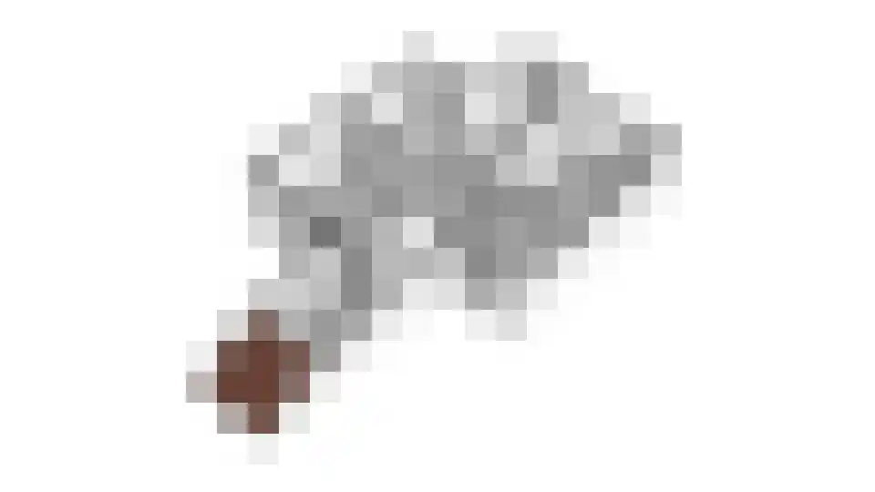 Goudwespmeent 55 Hilversum thumbnail 33