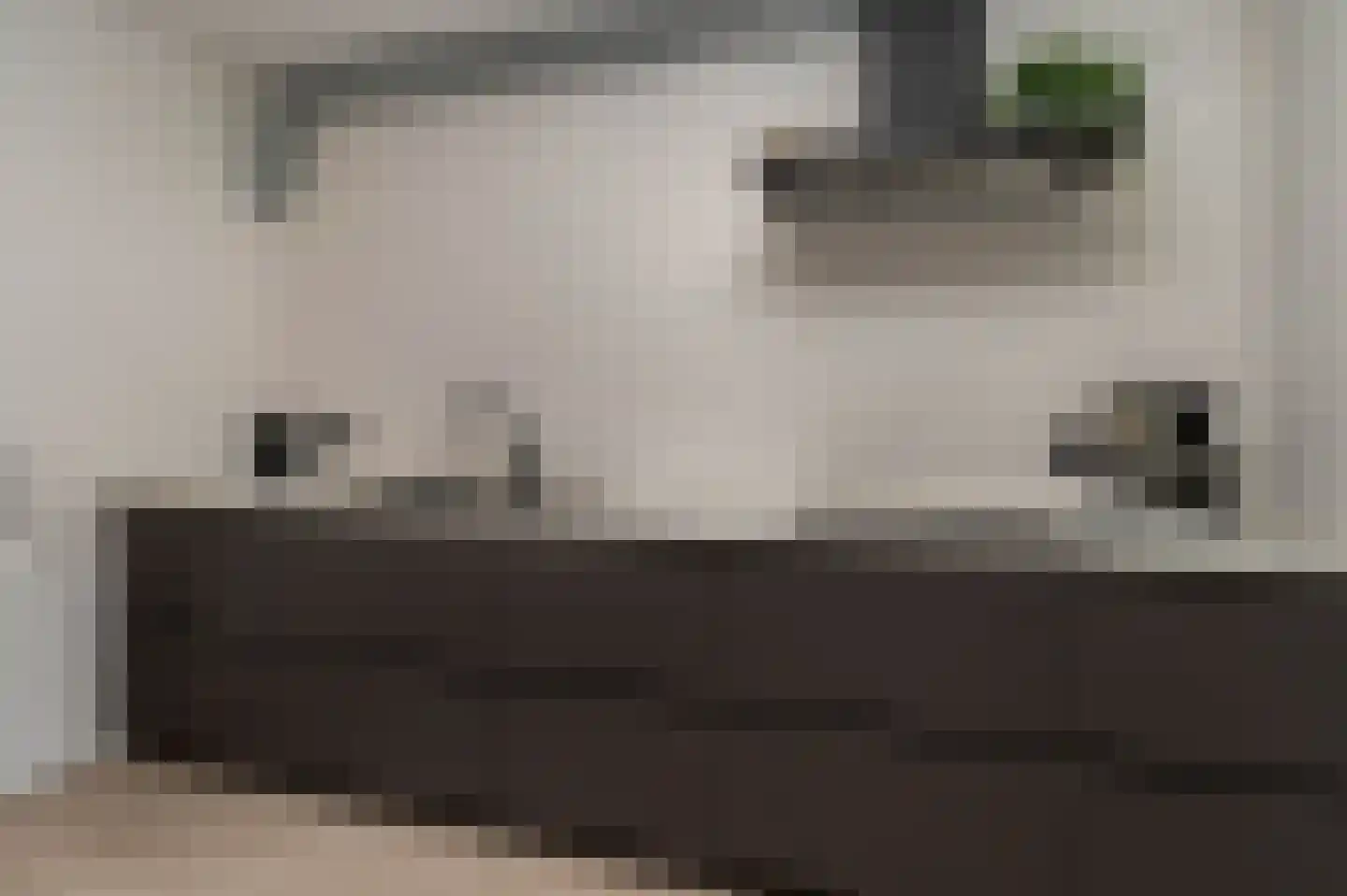 Goudwespmeent 55 Hilversum thumbnail 8
