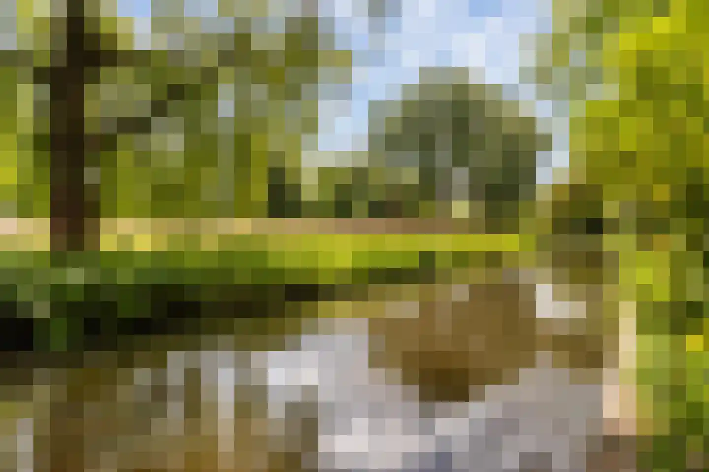 Goudwespmeent 74 Hilversum thumbnail 26
