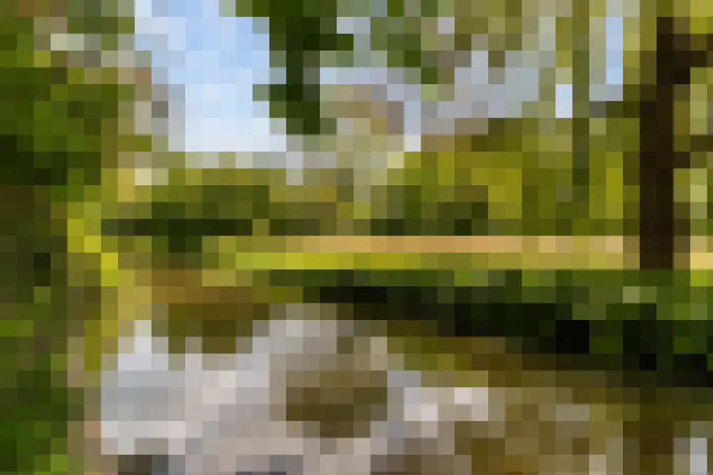 Goudwespmeent 74 Hilversum thumbnail 27