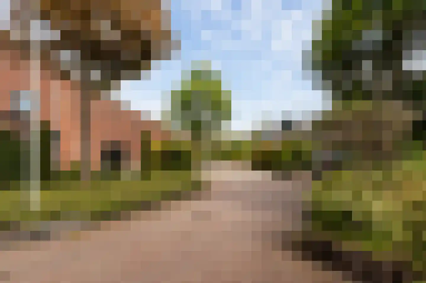 Goudwespmeent 74 Hilversum thumbnail 31