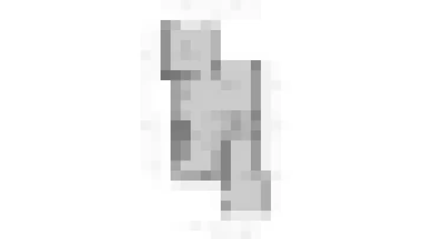 Goudwespmeent 74 Hilversum thumbnail 33