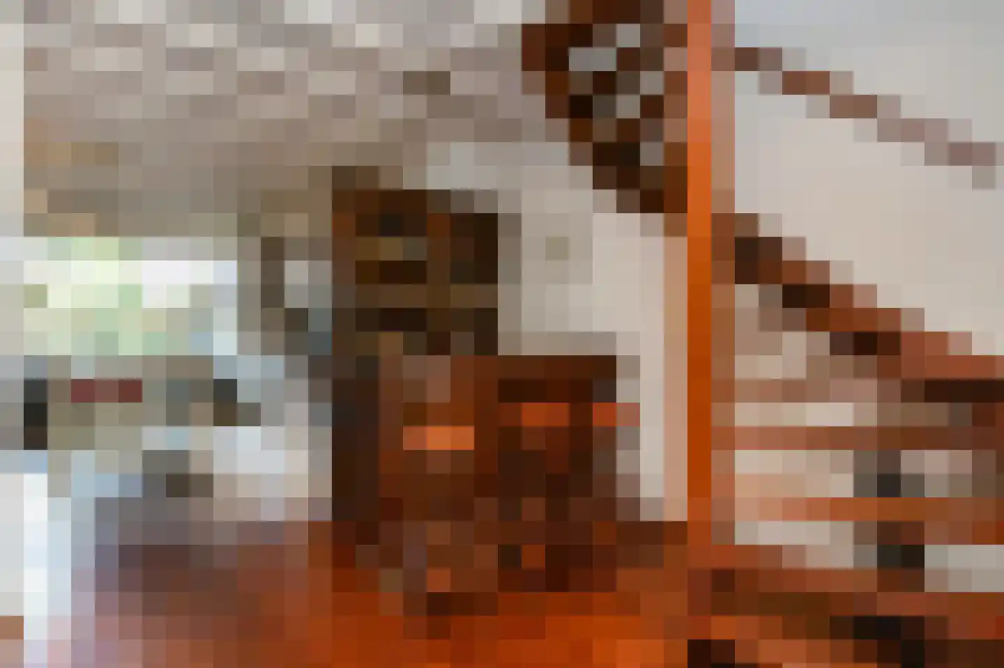 Goudwespmeent 74 Hilversum thumbnail 7