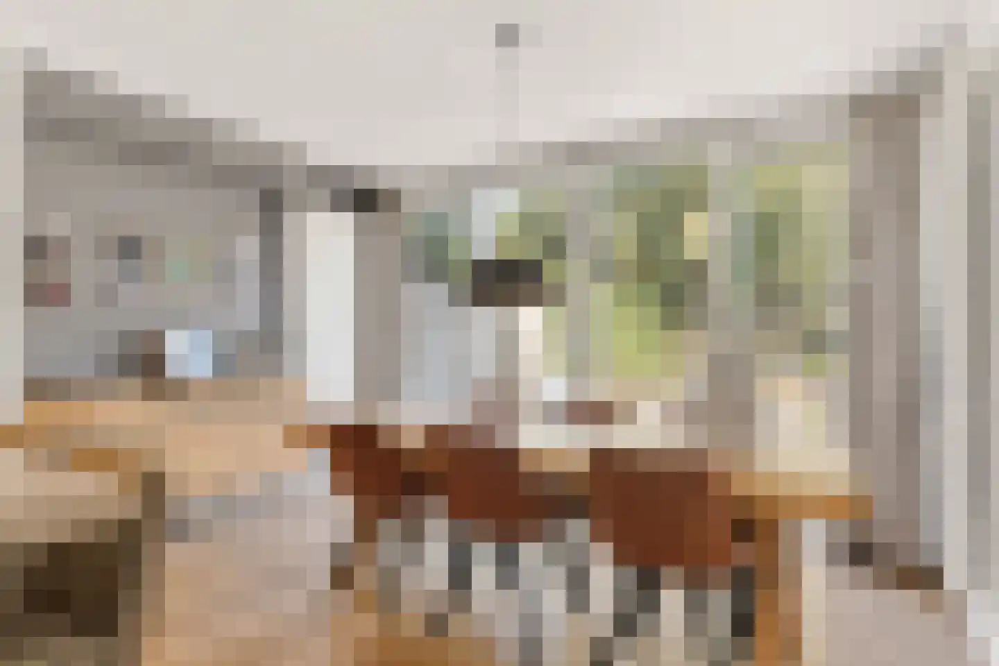 Goudwespmeent 79 Hilversum thumbnail 11