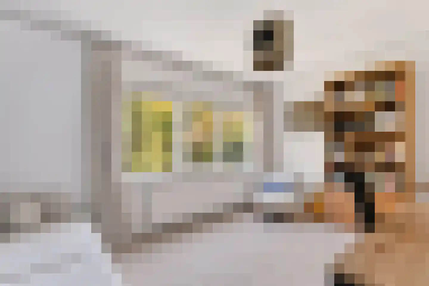 Goudwespmeent 79 Hilversum thumbnail 31